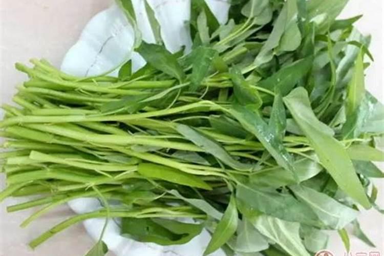 空心菜施什么肥长得快又嫩