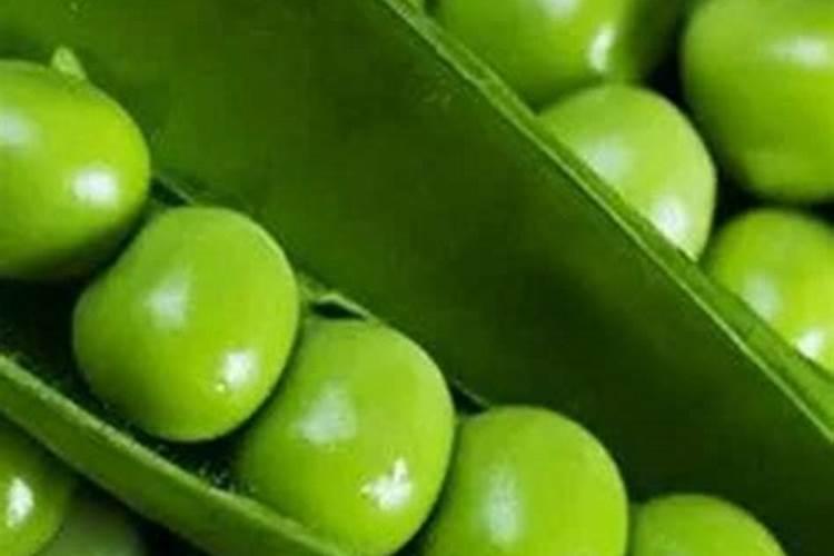 不同浓度芸苔素内脂对复合盐胁迫下芹菜生长生理的影响？