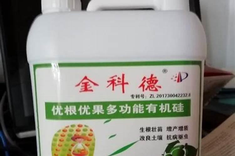 硅肥在葡萄种植上的效果怎样