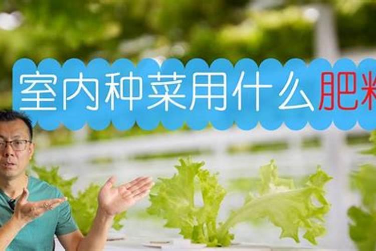 阳台种菜用什么肥料