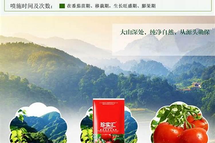大棚芹菜中后期用什么肥料