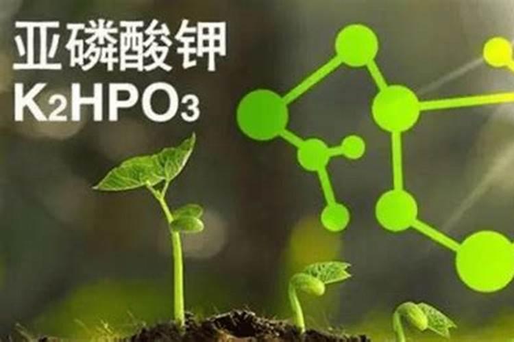 都是磷钾肥,亚磷酸钾凭什么比磷酸二氢钾贵？