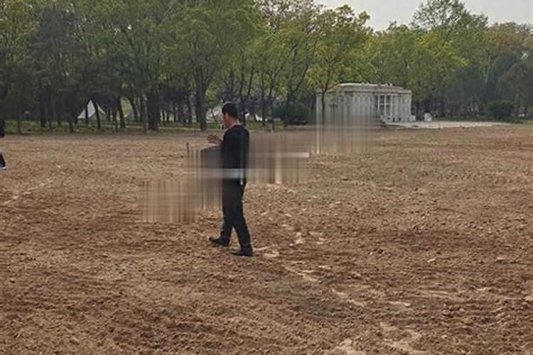 水养富贵竹用什么肥