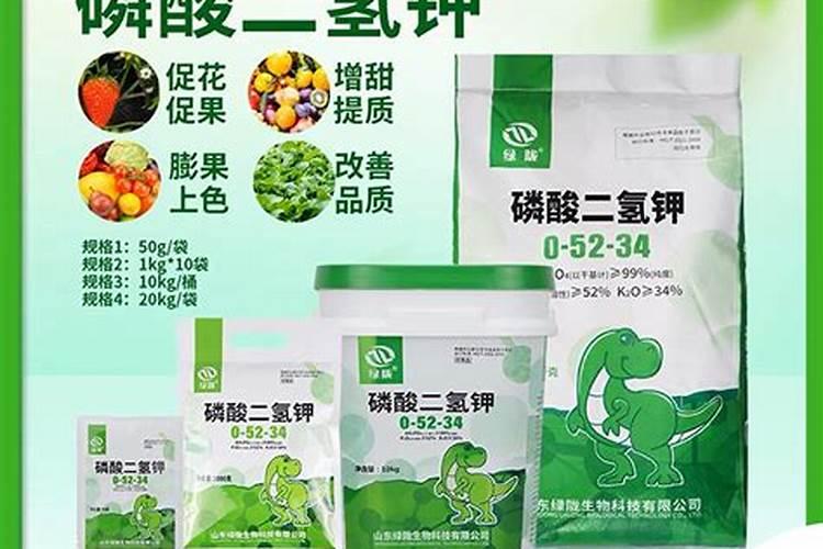 大枣膨大期上什么肥料产量高？大枣保花保果用哪种水溶肥效果好？