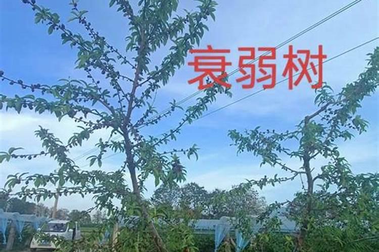 5%葡萄糖250ML 可以加多少毫克的多巴胺(用于升血压)