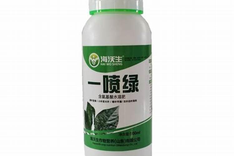 肥叔锅贴加盟费