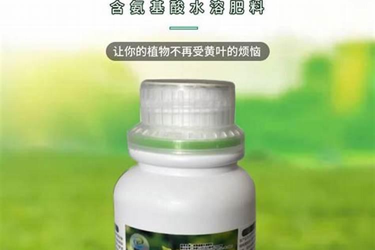 种植油菜时,为什么要增施硼肥？硼肥有什么作用呢？