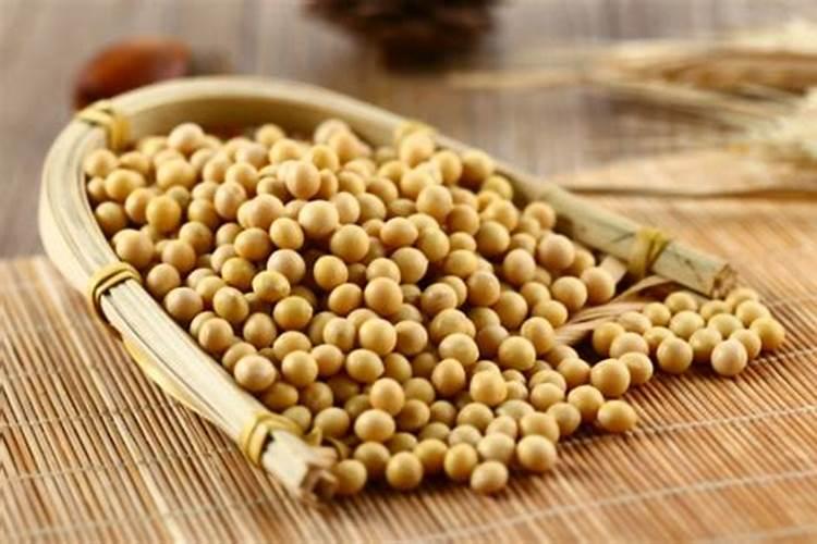 缺钾或钾过量对花卉有哪些影响？