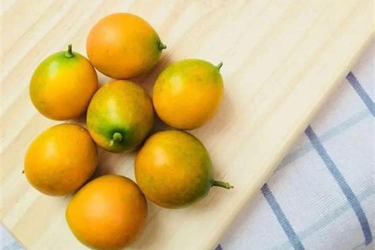 脆皮金桔和脆蜜金桔的区别