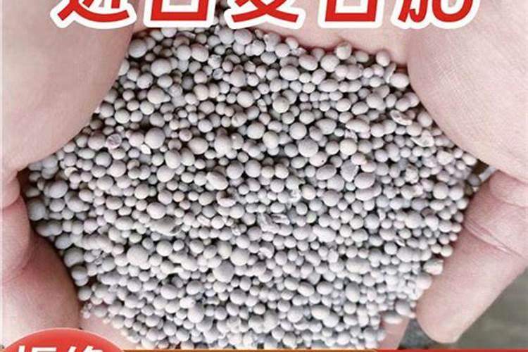 辣椒生根用什么水溶肥好？