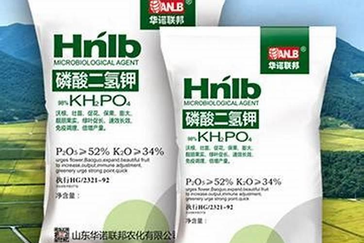 鼎益丰集团是干嘛的