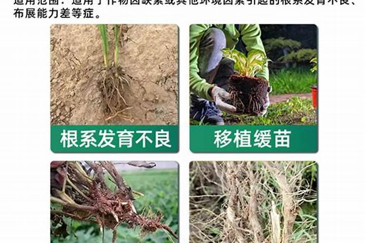磷酸二氢钾正确使用方法