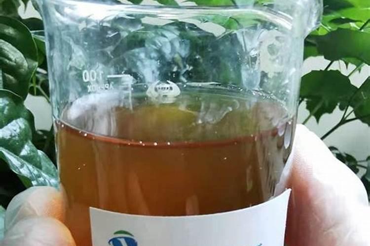 腐植酸水溶肥是什么,为什么那么火？它有啥作用呢？