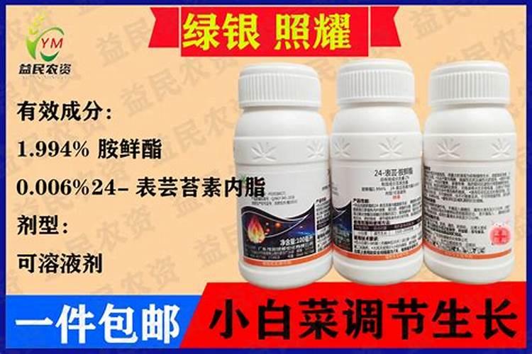 影响开花的主要因素有