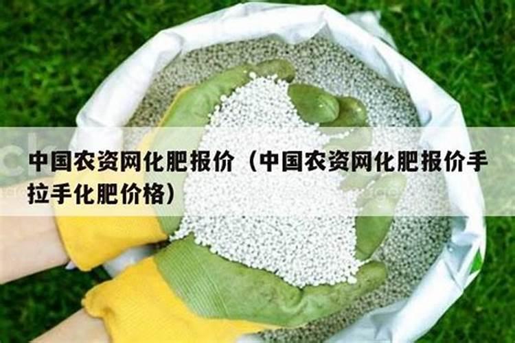 月季花摘芽后如何正确施肥