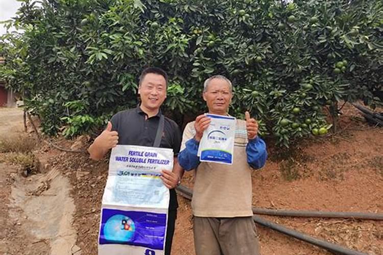 温室种植草莓在施肥时,都有哪些误区需要避开？