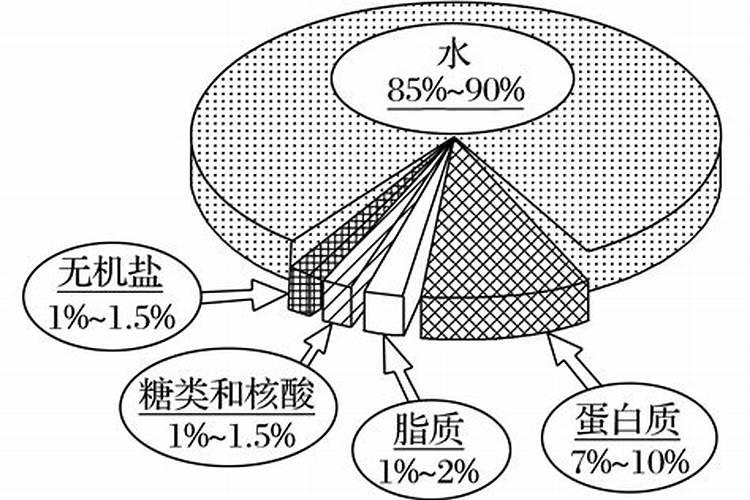 上海青叶子发白是什么原因