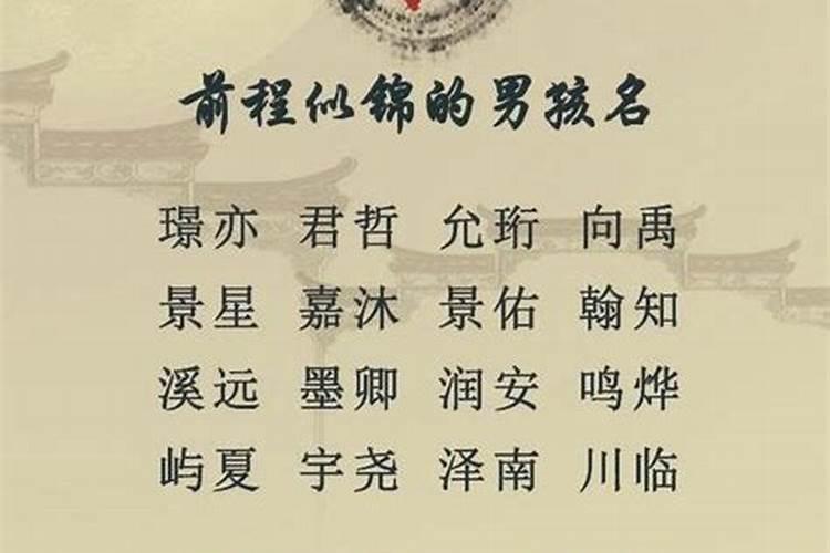 水溶肥那家公司的好