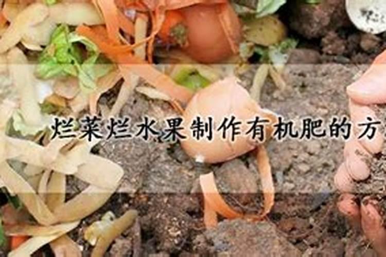 家庭自制有机肥料制作方法,烂水果发酵做肥料方法