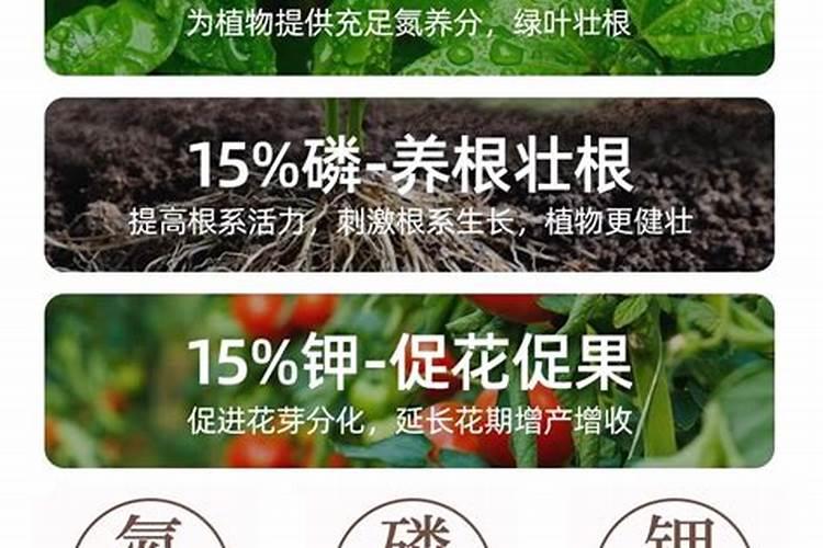 什么叫有机肥