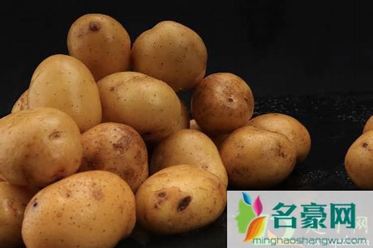 茶花施什么肥料最好最旺