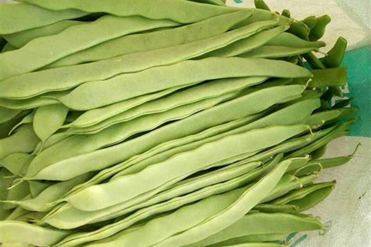 桂花树栽好后怎么浇水