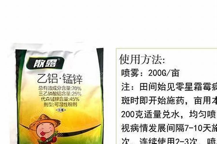 怎样种植辣椒？种植辣椒下底肥吗