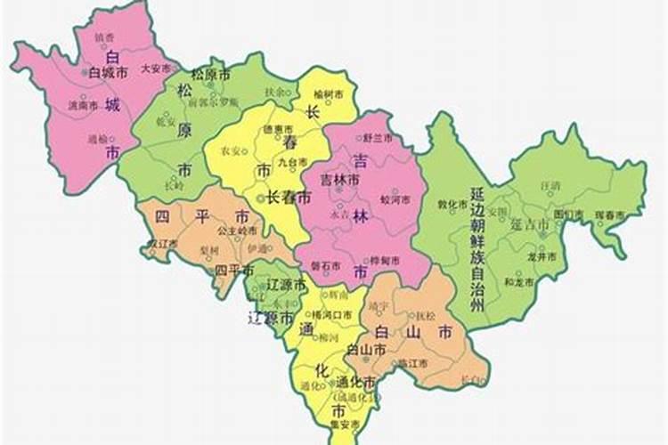 瑞倪维儿复合果蔬酵素固体饮料功效