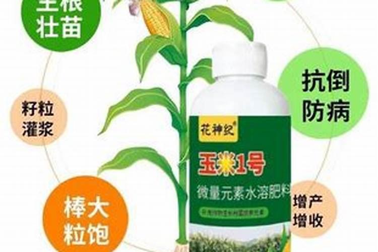 罗布泊钾肥中的罗布泊牌硫酸钾使用时有什么需要特别注意的？