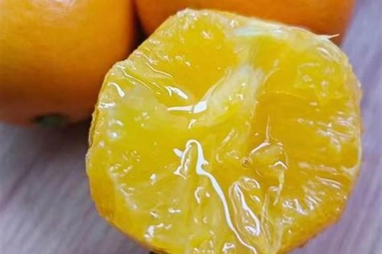 冰糖柑几月份嫁接？