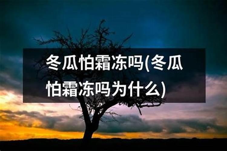 沃柑在六月份才能成熟是怎样栽培技术