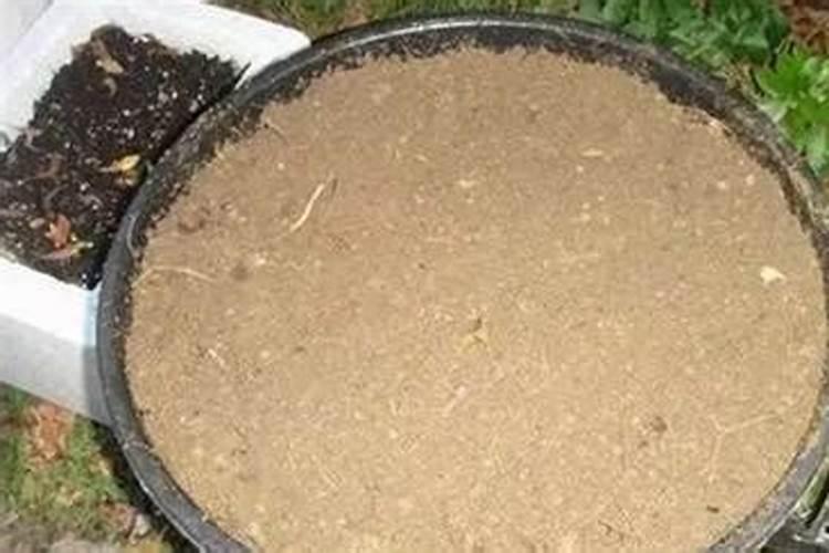 米糠拌麦皮喂鸡可以吗？