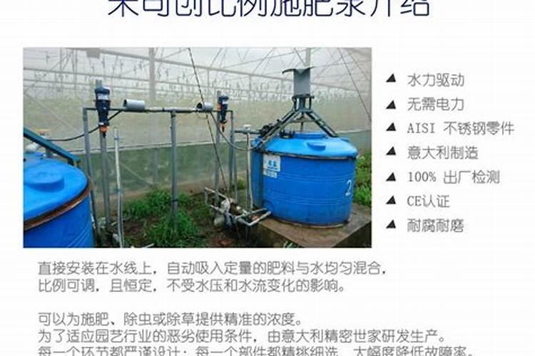 新乡最出名的三个特产