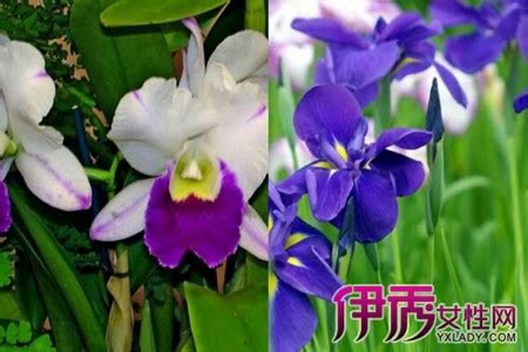 枣树一般在啥时候打药枣里面不长虫子