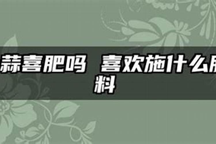 大蒜喜欢什么肥料,多久能发芽