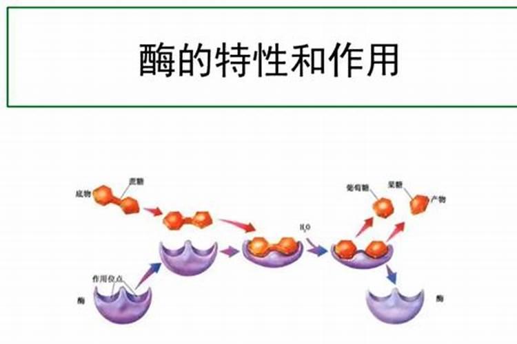 DA6的作用功能
