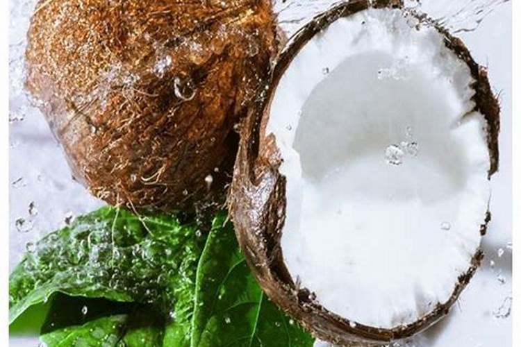 夏威夷椰子的养殖方法和注意事项 夏威夷椰子要怎么浇水呢