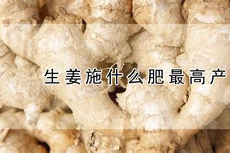 生姜后期需要什么肥料