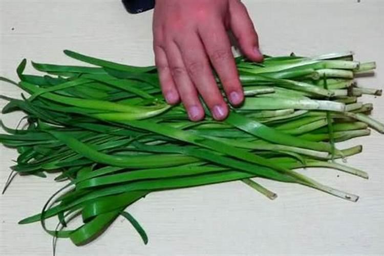韭菜施什么肥料好？