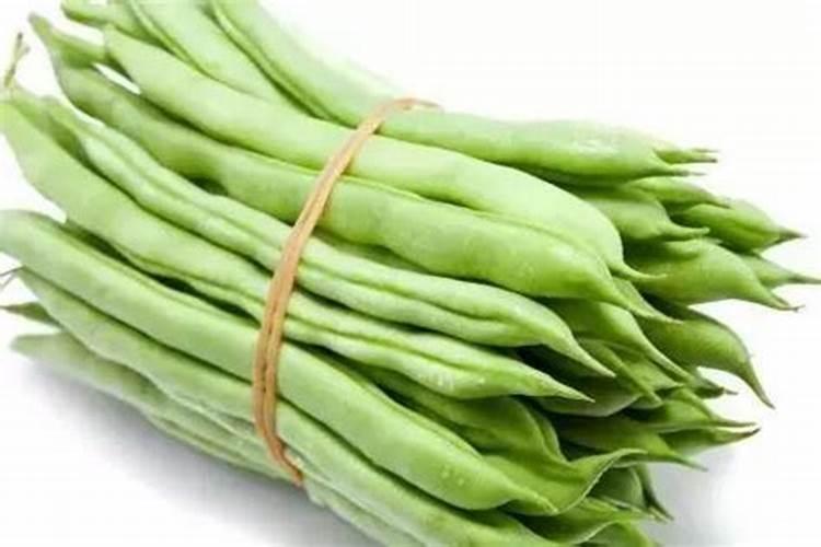 四季豆的种植时间和种植方法