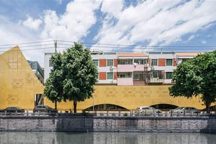 黄精专用肥有哪些品牌推荐