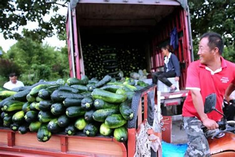 有机肥的市场价是多少