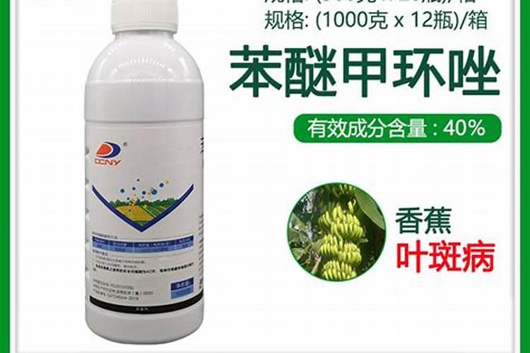 果树春天打什么药最好