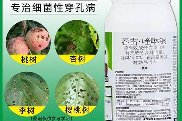 水果中后期用什么杀菌