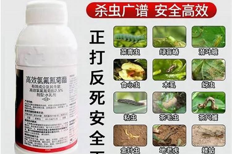 果树开花期打什么杀虫药最好