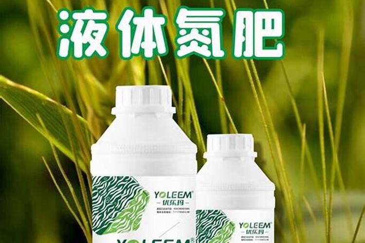 梨树怎么预防根腐病