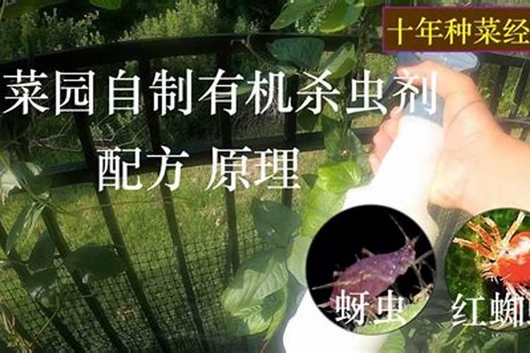 杀虫农药遇雨几小时补喷