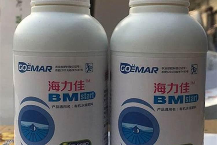 都说要用苦瓜提早吊蔓,苦瓜提早吊蔓有什么好处？