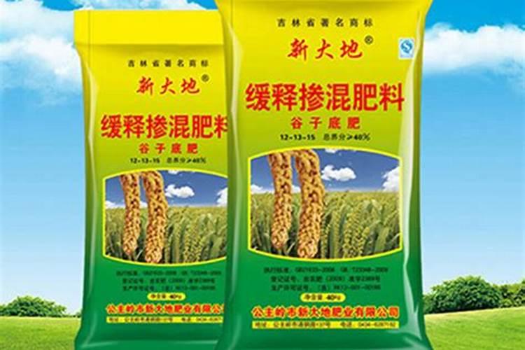 为什么要养春兰花？