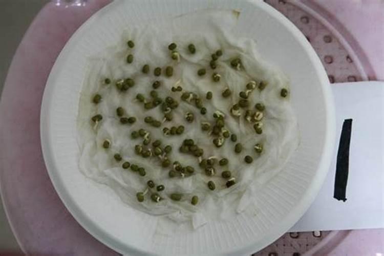 含腐植酸水溶肥料能再小麦上多喷试吗？